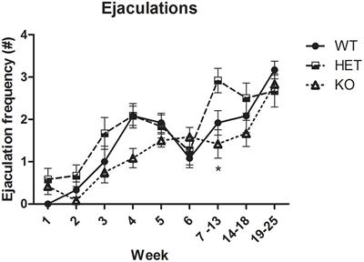 Side effects of tramadol sexual